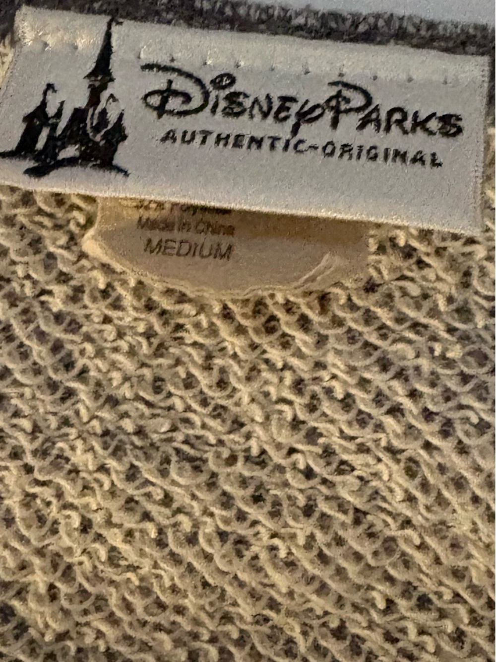 Disney Parks Neutral-Tone Terry Loop Pullover with - Picture 4 of 5
